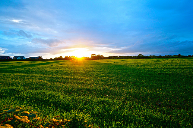 Early autumn sunset