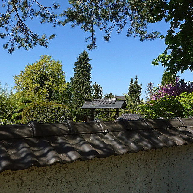 Über den Zaun und die Mauer