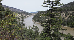 Fraser River near Williams Lake, BC