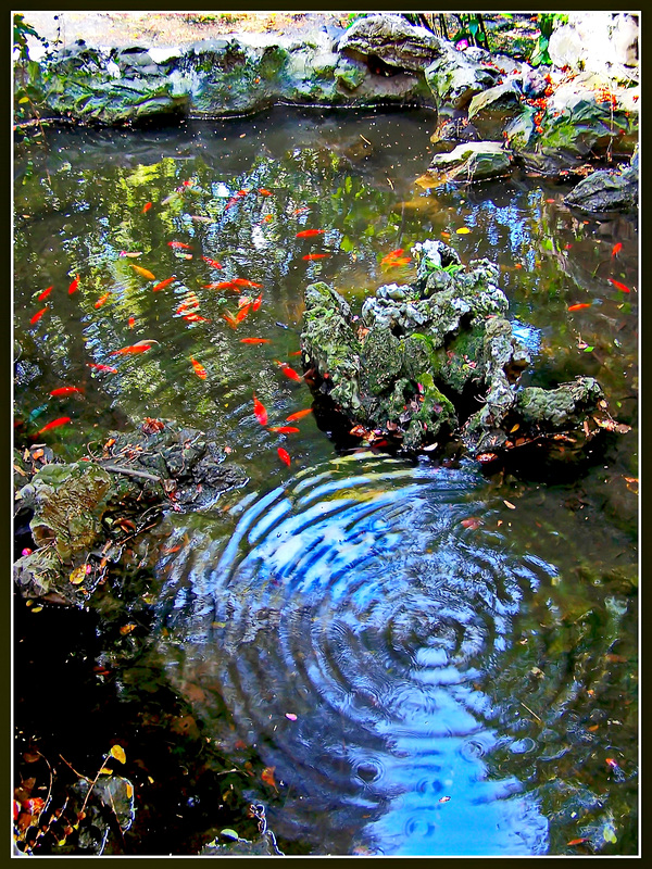 Acqua viva a Villetta Di Negro