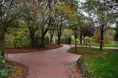 Weg am Golfplatz Felderbach (Sprockhövel) / 6.11.2022