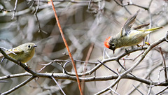 DSC04202a