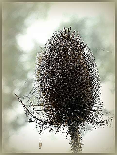 herfst
