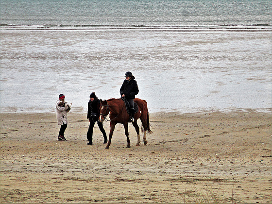 le cheval est heureux de sa balade,