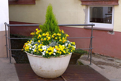 Happy Flower Fence