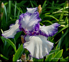 The glory of one moment.