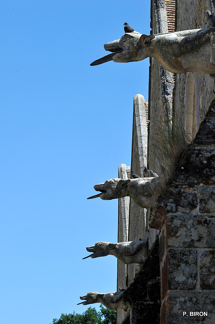 Gargouilles de l'Eglise Notre-Dame du Mont Harou à Moutiers-au-Perche - Orne - Basse Normandie