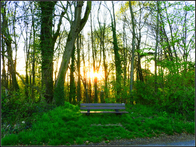 Sunset Bench  (Imstenrade)