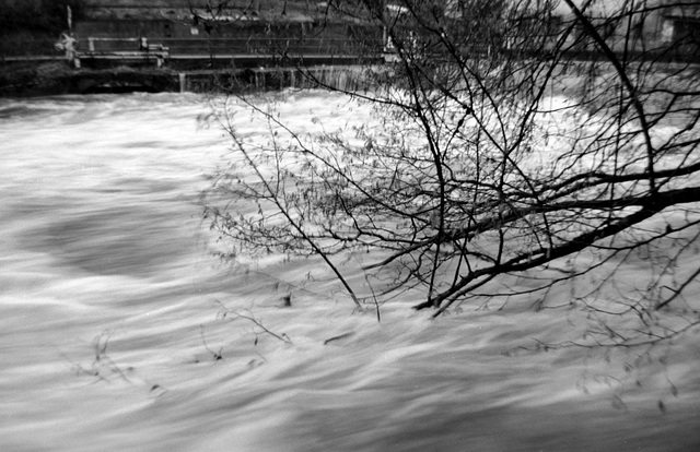 Hochwasser wilde Gutach