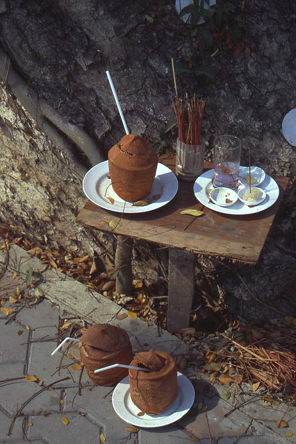 Chiang Mai- Roadside Shrine?