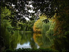 hint of autumn by the lake