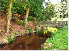 Bridge over troubled water - HFF