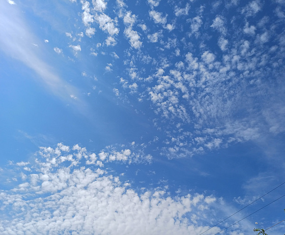 Cirrocumuluswolken ?