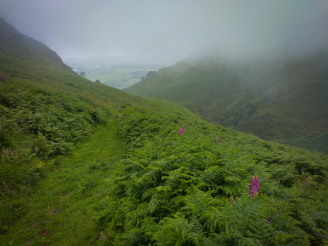 Below the cloud