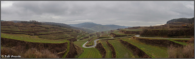 Weinterassen im Kaiserstuhl