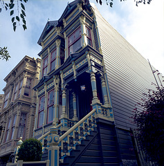 Painted Victorian Ladies