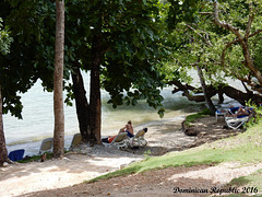 40 A Sheltered Sand Spit in the Small Bay