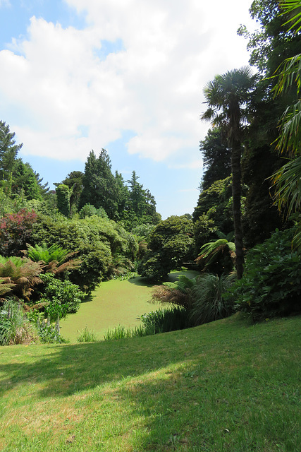 heligan (3)