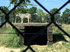 wolf behind fence