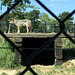 wolf behind fence