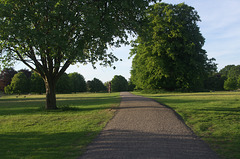 Long shadows in the evening