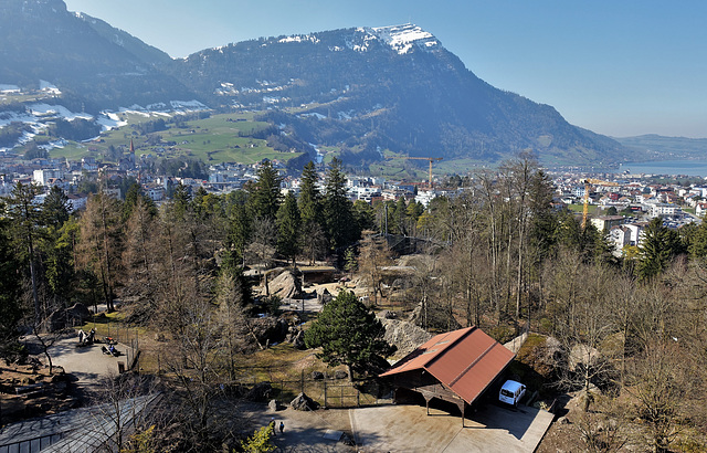 Tierpark Arth-Goldau März 22 / Rigi im Dunst!