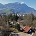 Tierpark Arth-Goldau März 22 / Rigi im Dunst!