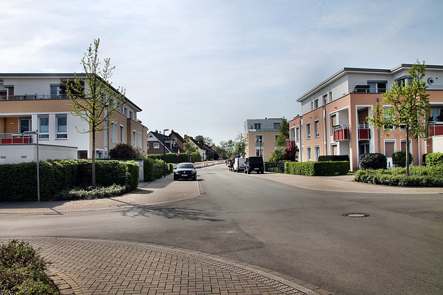 Lüner Heide (Lünen-Altlünen) / 13.04.2024