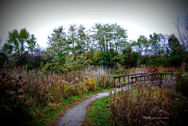 Changing Seasons in the Prairie - Lomography