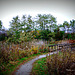 Changing Seasons in the Prairie - Lomography