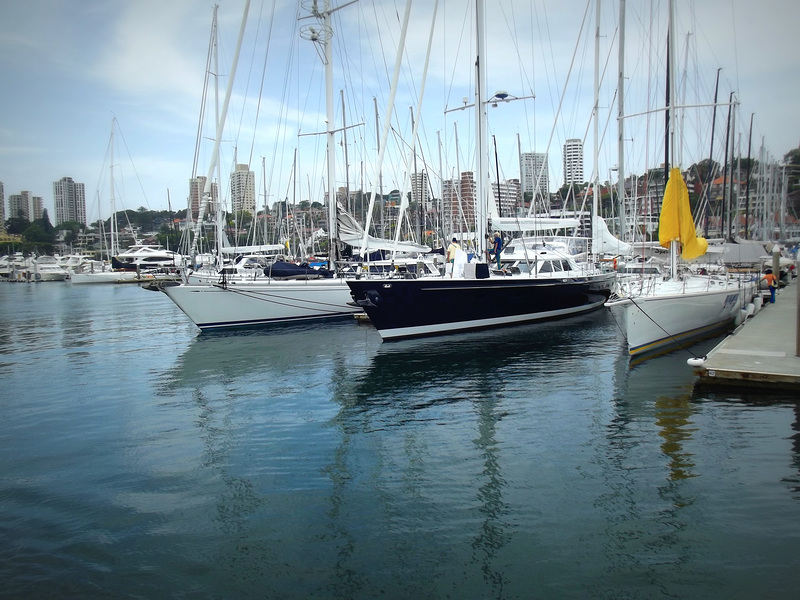 Sailboats, Rushcutter Bay