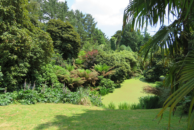 heligan (2)