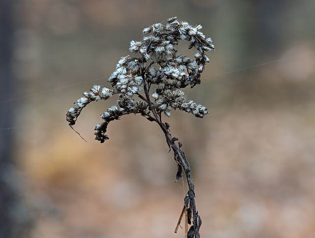 2025-11-09 16-29-34 (C,S4)18a
