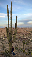 Elaine and a saguaro