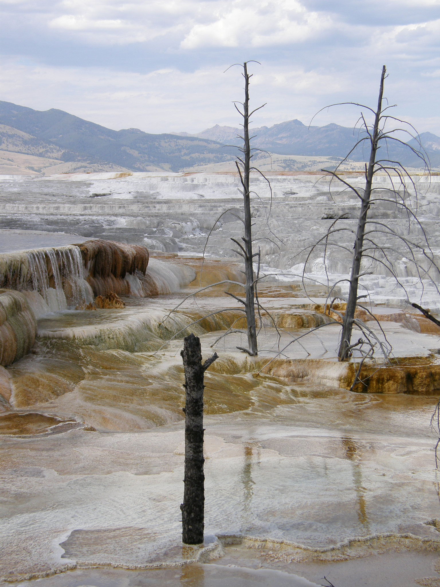 Mammoth Hot Springs