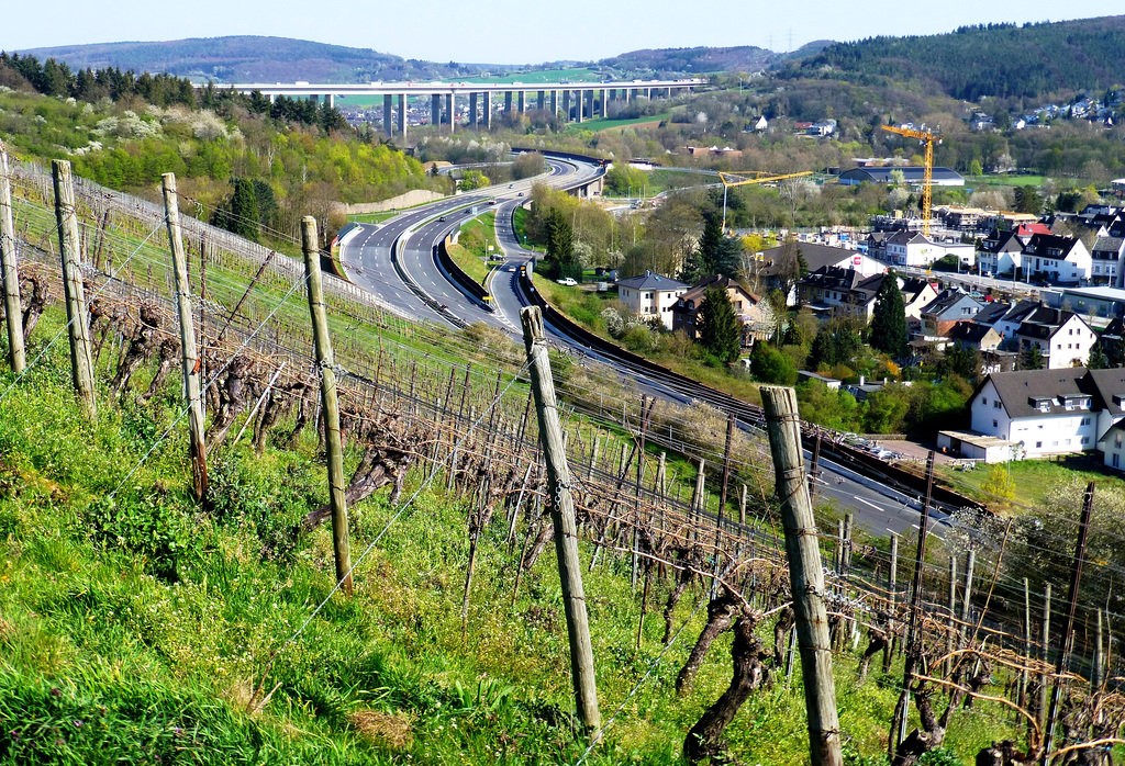 Frühlingsspaziergang