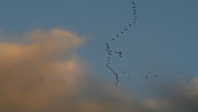 Entrée dans les nuages du soir