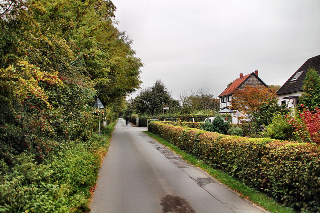 Auf dem Koertskamp (Bönen-Lenningsen) / 9.10.2023