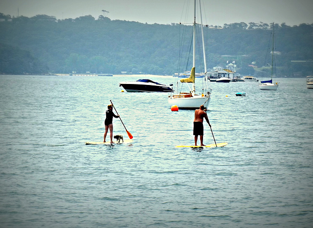 Family outing, Sydney style