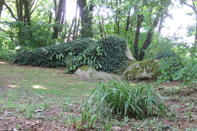 heligan (1)