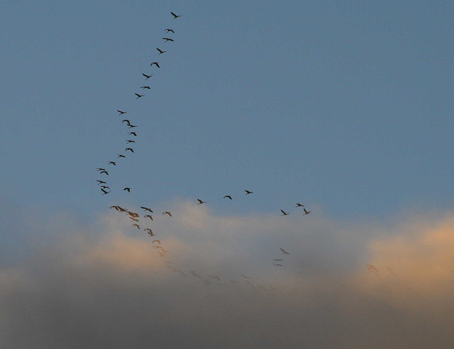 Entrée dans les nuages du soir