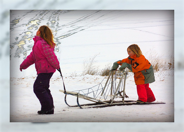 Playing Sled Dog.