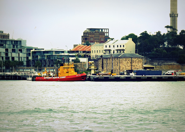 Sydney Harbor