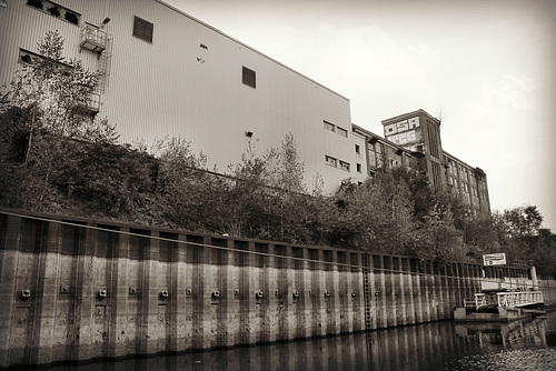 Die ehem. Papierfabrik vom Hafenbecken aus (Düsseldorf-Hafen) / 30.09.2016