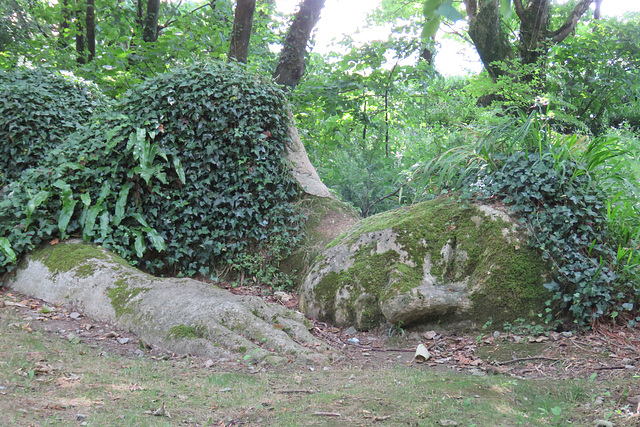 heligan (43)