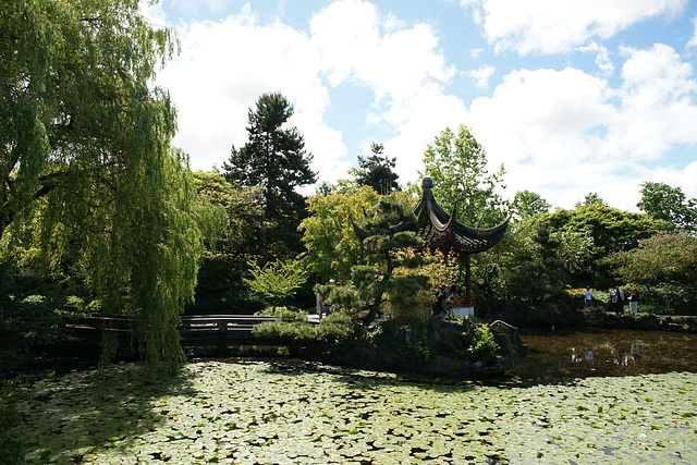 Dr Sun Yat Sen Chinese Gardens