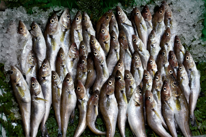 Fish!