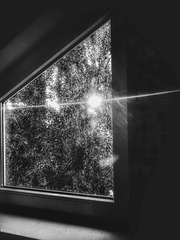 SSC - Blick durch ein Fenster -