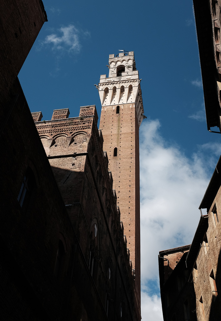 Tuscany 2015 Siena 4 X100t