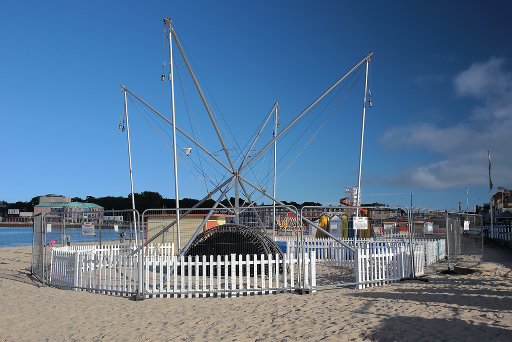 Beach spider